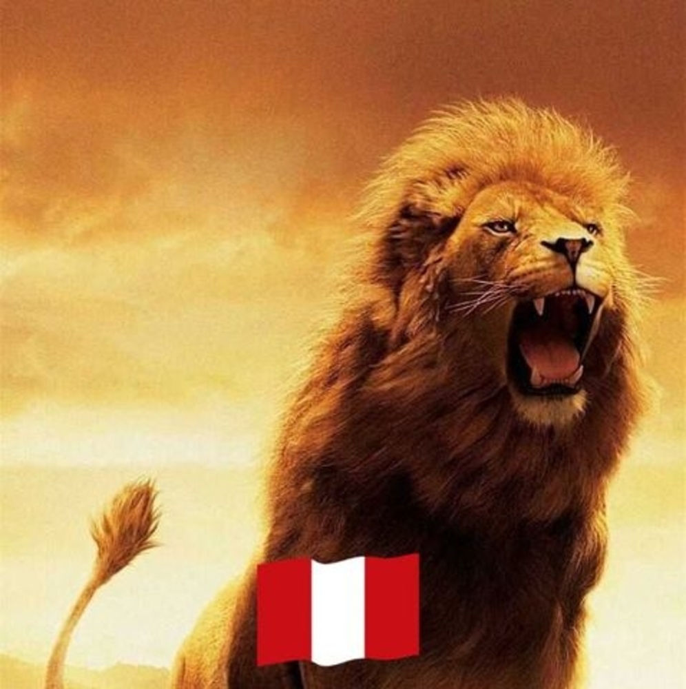 Meet your Posher, Luis